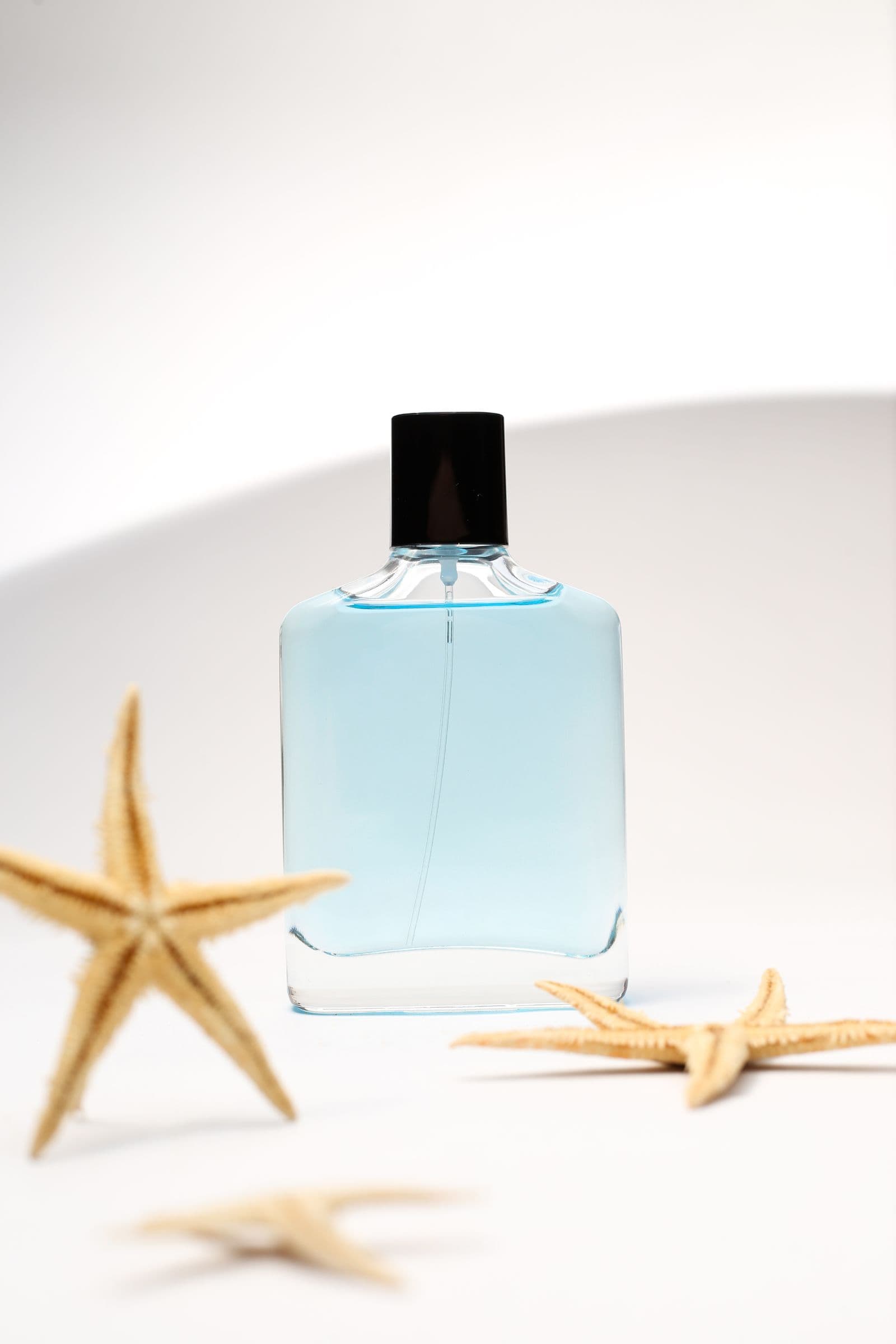 Azure Current — a rectangular glass perfume bottle filled with pale blue liquid and a black cap, staged with dried starfish on a white surface