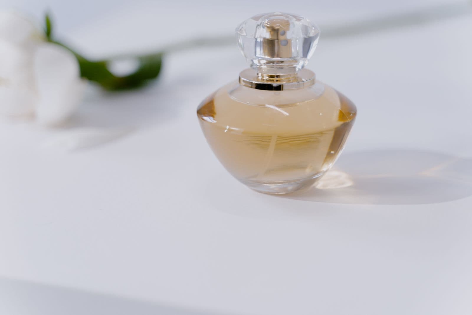 Velvet Twilight — a round glass perfume bottle with a gold cap, softly lit with a blurred white rose in the background